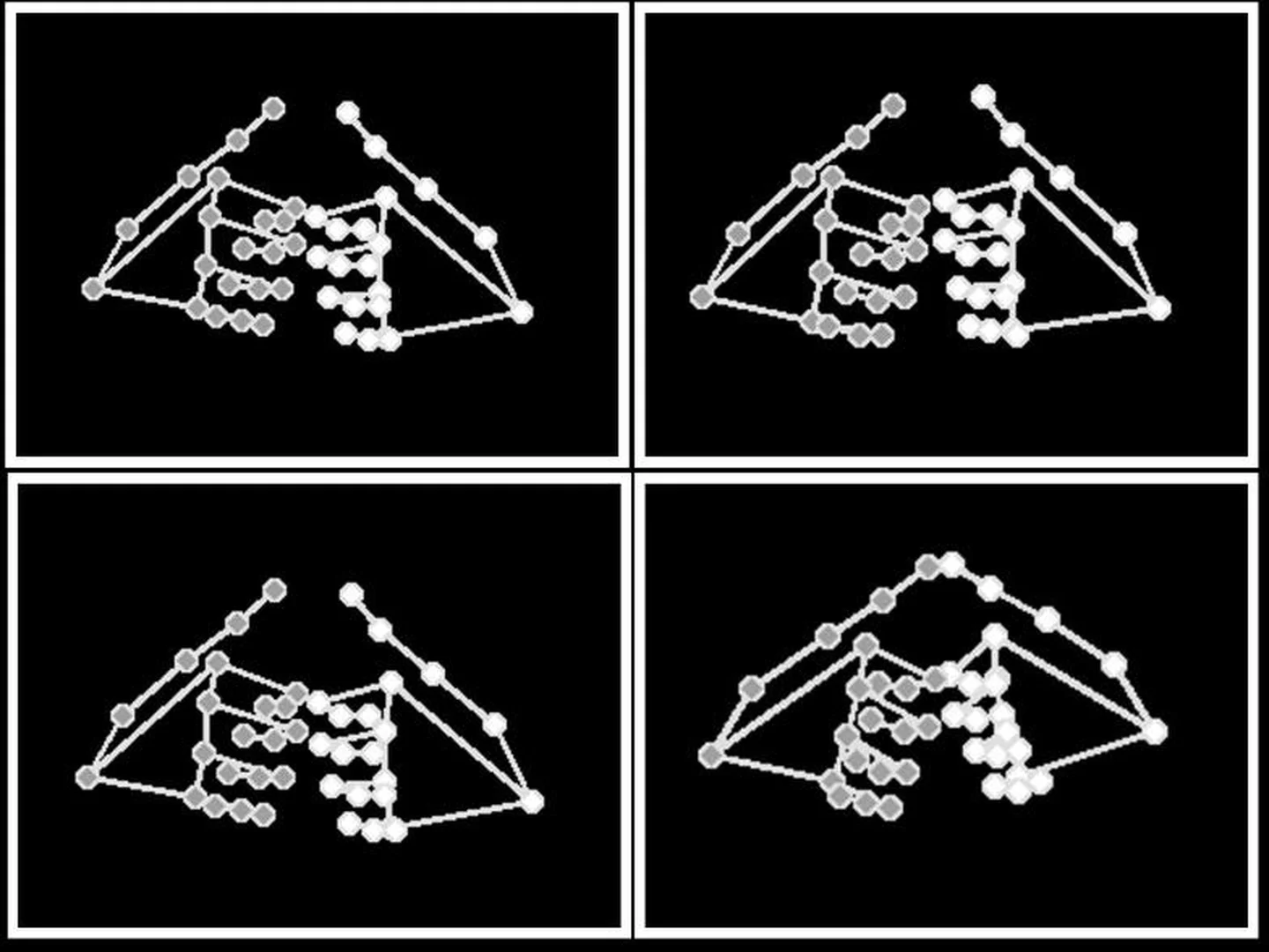 Fig. 4: Skeleton-based gesture representation