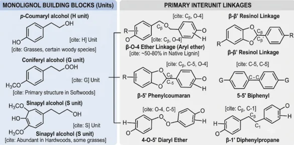 Lignin-Derived and Associated Polyphenolic Compounds in Woody Plants: Structural Elucidation, Synthetic Pathways, Characterization Techniques, and Industrial Bioactivities — graphical abstract