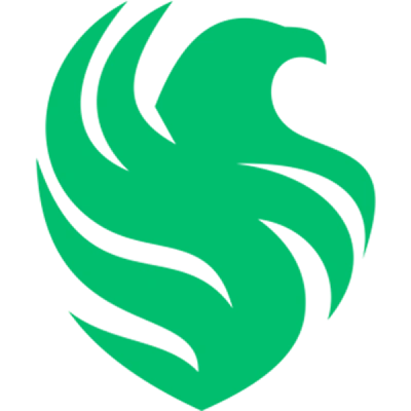Team Falcons Logo