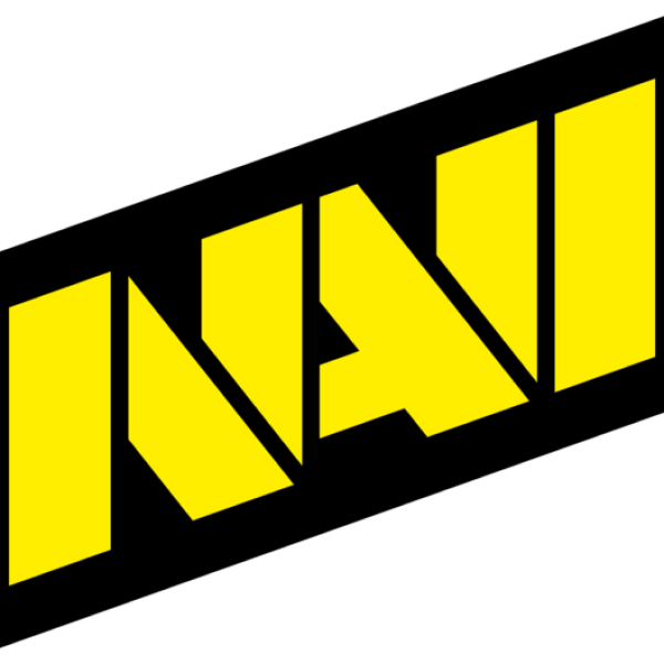 NaVi Team Logo
