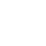 Team Spirit Logo