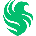Team Falcons Logo