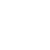 Spirit Team logo CS2