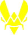 Team Vitality Logo