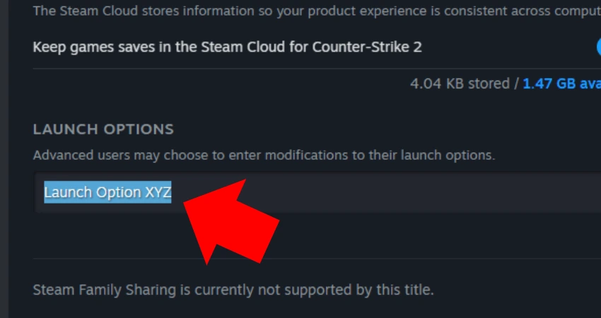 Common Mistakes to Avoid When Setting CS2 Launch Options