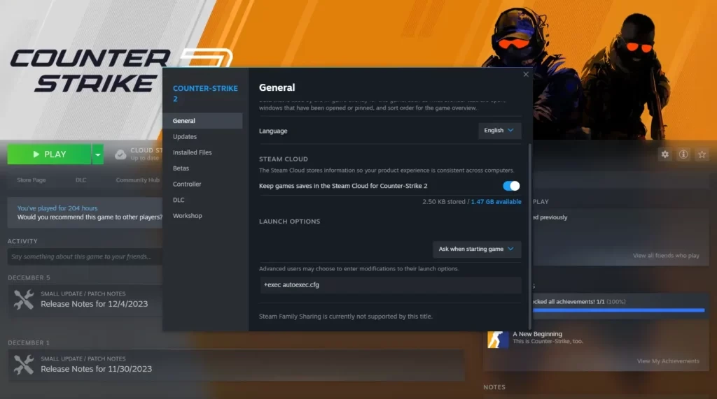 How to Set Launch Options in CS2