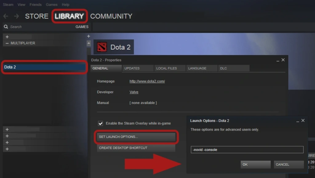 What Are Dota 2 Launch Options?
