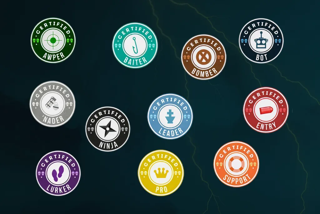 All CS2 Team Roles