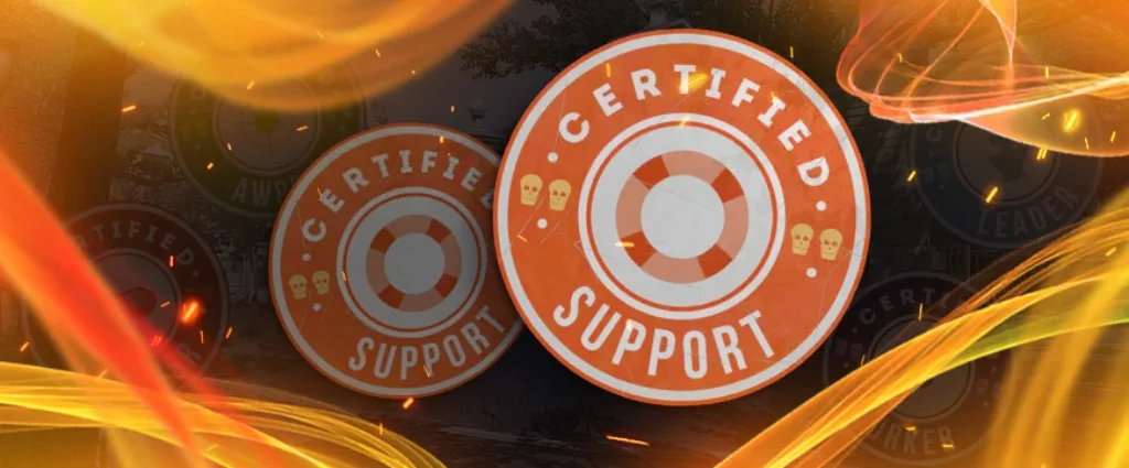 Support Player CS2 Team Role