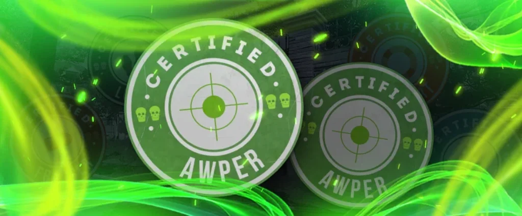 AWPer CS2 Team Role