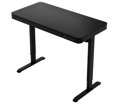 Loctekmotion Ergonomic Electric Desk
