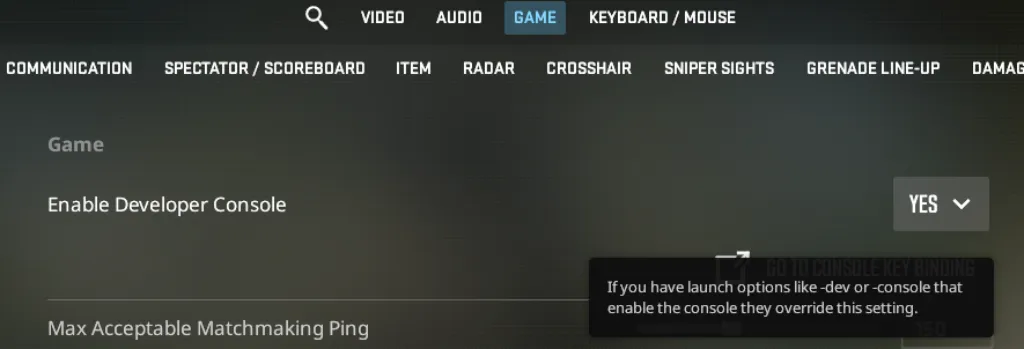 Enable Developer Console in CS2