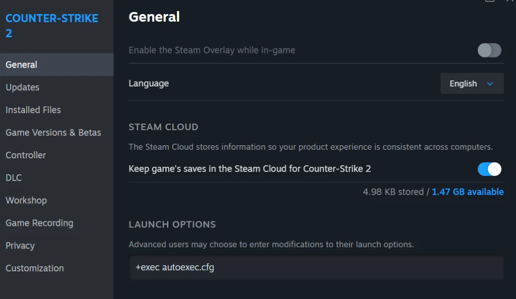 Включение Autoexec в CS2 (Launch Options)