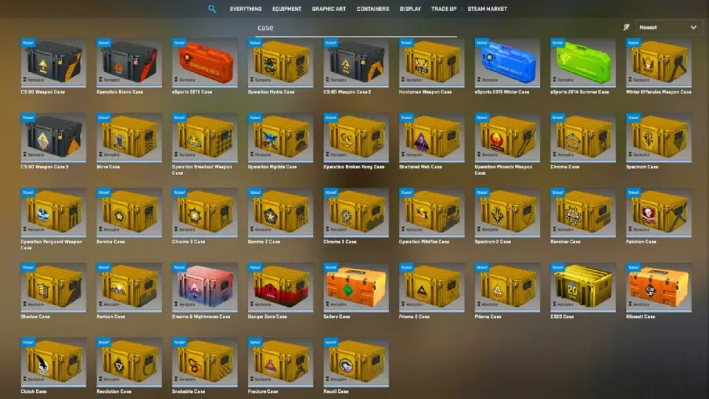 CS2 rentable cases