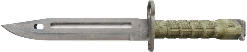 Bayonet CS2