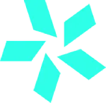 Team Vision Dota 2 team logo
