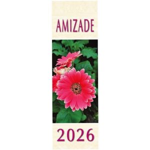 CALENDÁRIO DA AMIZADE 2026