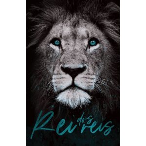 BÍBLIA ARC 860 REI DOS REIS - LETRA NORMAL: ALMEID - MAQUINARIA EDITORIAL