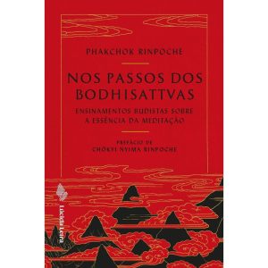 NOS PASSOS DOS BODHISATTVAS: ENSINAMENTOS BUDISTAS - LÚCIDA LETRA