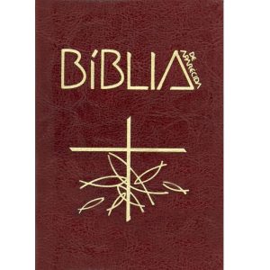 Biblia de aparecida letra grande marrom - EDITORA SANTUARIO BIBLIA