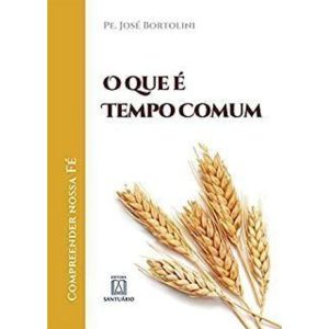 QUE E TEMPO COMUM, O - EDITORA SANTUÁRIO
