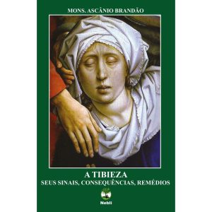 A TIBIEZA SEUS SINAIS, CONSEQUÊNCIAS, REMÉDIOS