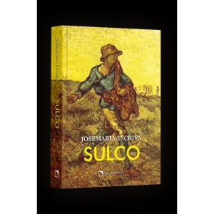 POCKET SULCO - TRADICIONAL - QUADRANTE
