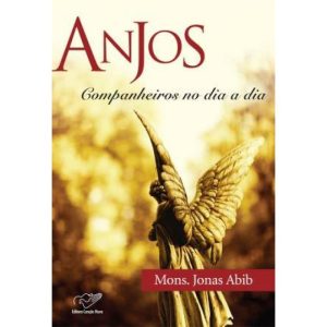 ANJOS COMPANHEIROS NO DIA A DIA