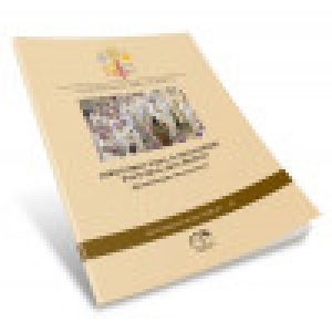 DOCUMENTOS DA IGREJA 39 - DIRETÓRIO PARA O MINISTÉRIO PASTORAL DOS BISPOS APOSTOLORUM SUCCESSORES