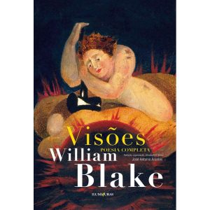 VISÕES: POESIA COMPLETA - ILUMINURAS