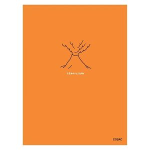 LEONILSON, USE, É LINDO, EU GARANTO - COSAC EDICOES