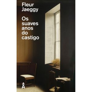 OS SUAVES ANOS DO CASTIGO - EDITORA ÂYINÉ