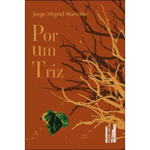 Por um triz - FARIA E SILVA EDITORA