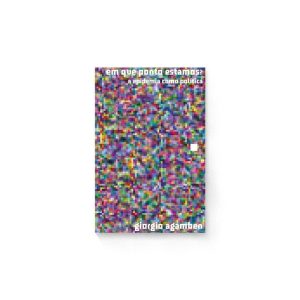 EM QUE PONTO ESTAMOS? - A EPIDEMIA COMO POLÍTICA - EDICOES N-1