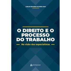 O DIREITO E O PROCESSO DO TRABALHO - NA VISÃO DOS  - MATRIOSKA EDITORA