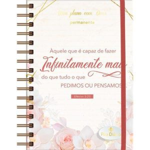 MEU PLANO COM DEUS - INFINITAMENTE MAIS: PLANO DEV - PUBLICAÇÕES PÃO DIÁRIO