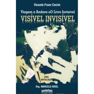 VIAGEM A ANDARA OO LIVRO INVISÍVEL - VISÍVEL INVIS - LETRA SELVAGEM