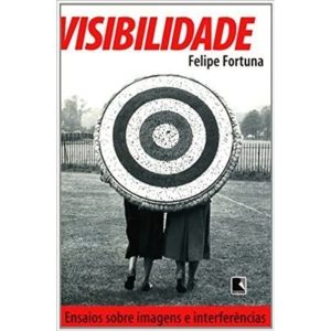 VISIBILIDADE - ENSAIOS SOBRE IMAGENS E INTERFERENC - RECORD