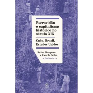 ESCRAVIDÃO E CAPITALISMO HISTÓRICO NO SÉCULO XIX:  - CIVILIZAÇÃO BRASILEIRA