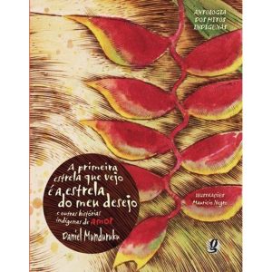 A PRIMEIRA ESTRELA QUE VEJO É A ESTRELA DO MEU DES - GLOBAL EDITORA E DISTRIBUIDORA