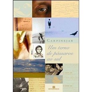 Um terno de pássaros ao sul - BERTRAND BRASIL