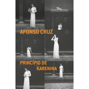 PRINCÍPIO DE KARENINA - COMPANHIA DAS LETRAS