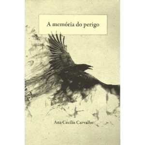 MEMÓRIA DO PERIGO, A - QUIXOTE + DO