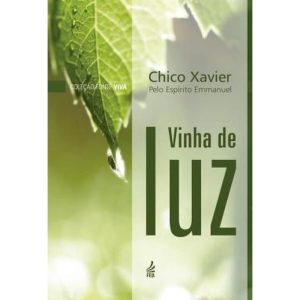 VINHA DE LUZ (BOLSO) - FEB