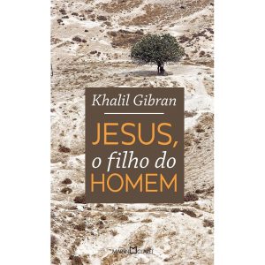 JESUS, O FILHO DO HOMEM - MARTIN CLARET