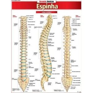 RESUMÃO MEDICINA - ESPINHA - BARROS, FISCHER & ASSOCIADOS