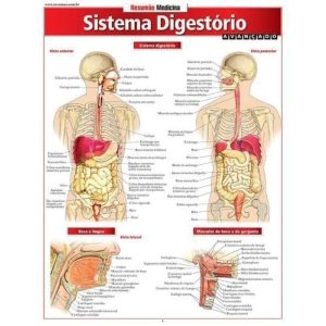 RESUMÃO MEDICINA - SISTEMA DIGESTÓRIO - BARROS, FISCHER & ASSOCIADOS