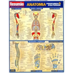 RESUMAO - ANATUMIA PROFUNDA E POSTERIOR - BARROS, FISCHER & ASSOCIADOS