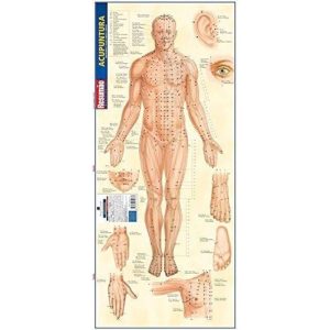 RESUMÃO MEDICINA - 20 ACUPUNTURA - BARROS, FISCHER & ASSOCIADOS