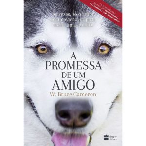 A PROMESSA DE UM AMIGO - HARPERCOLLINS